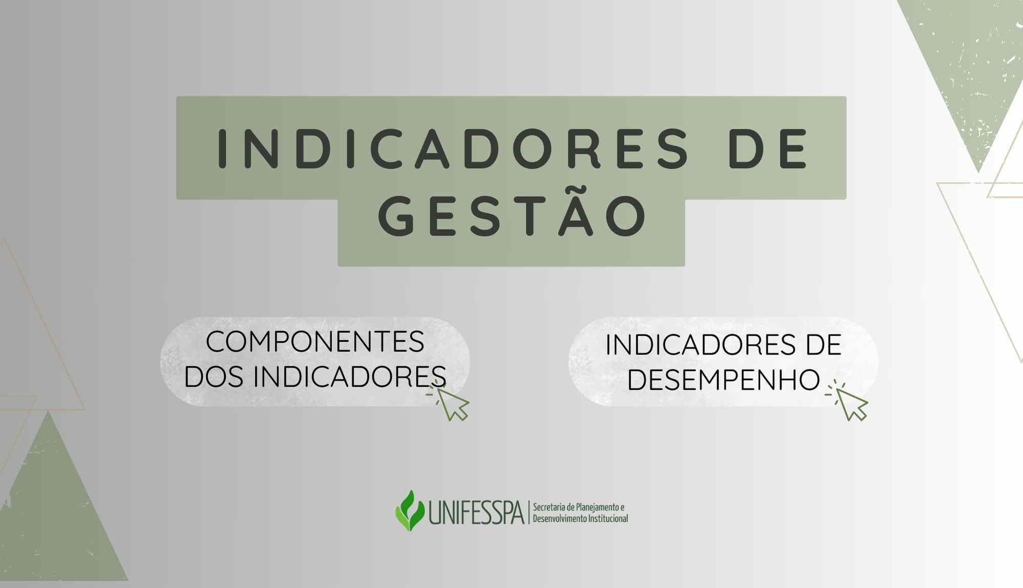 Indicadores de gestão Capa 2024